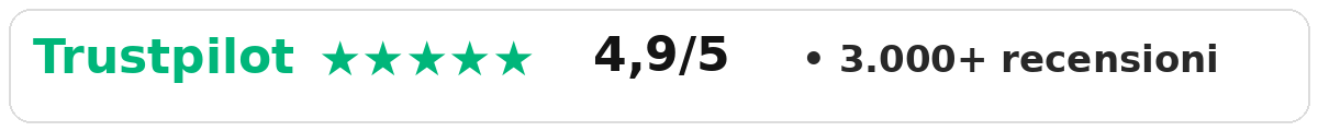 Trustpilot 4,9 su 5 - oltre 3.000 recensioni